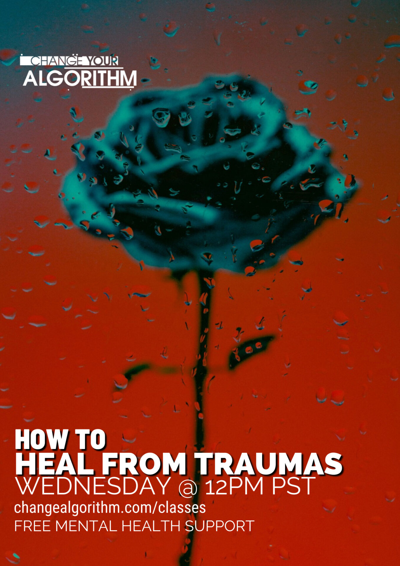 How To Heal From Traumas